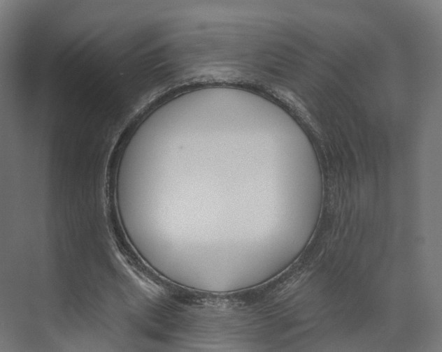 X0000073870439200609071703