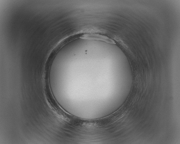 X0000073870440200609071703