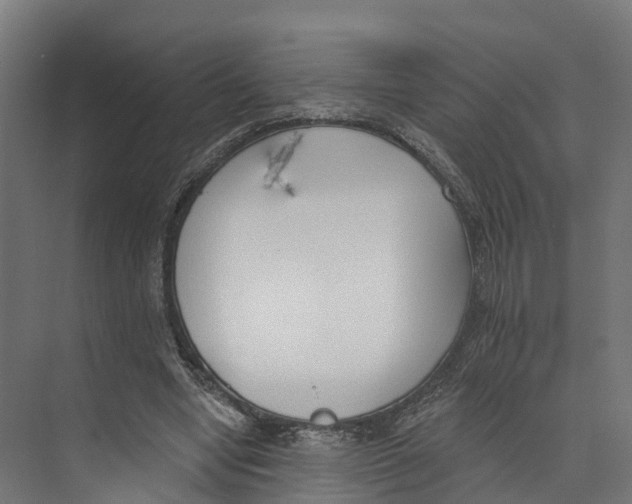 X0000073870442200609071703