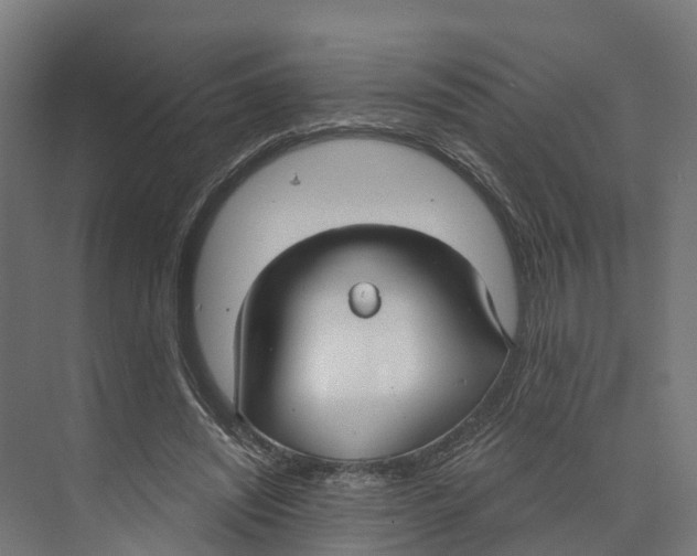 X0000073870444200609071703