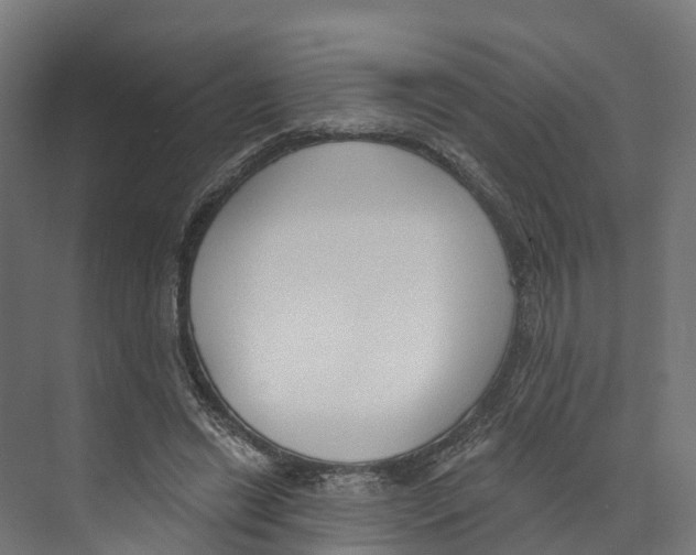 X0000073870446200609071703