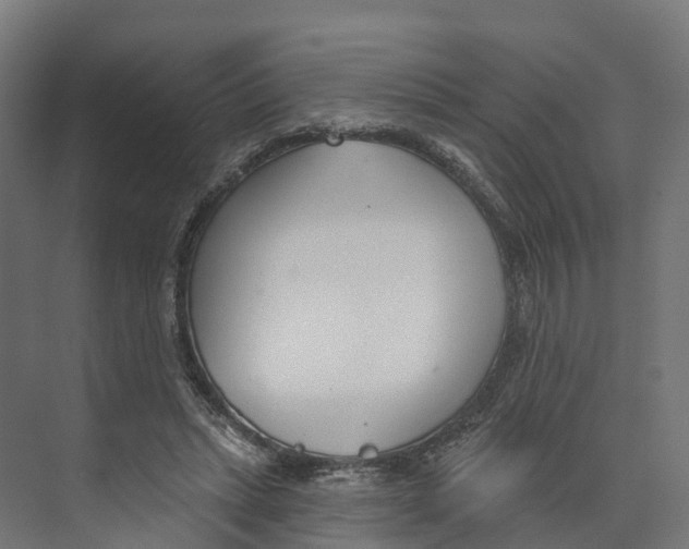 X0000073870447200609071703