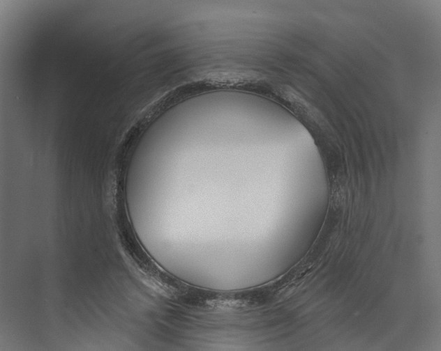 X0000073870448200609071703