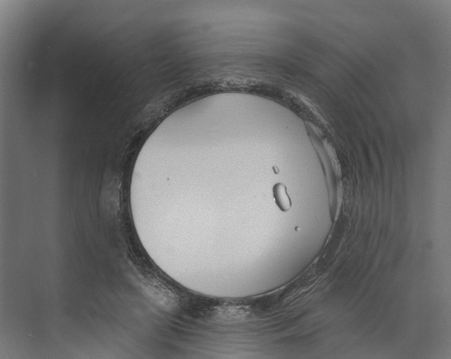 X0000073870451200609071703