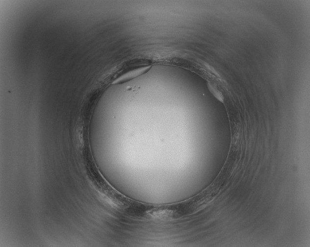 X0000073870452200609071703