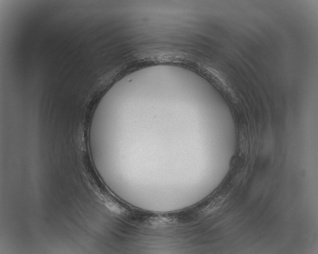 X0000073870453200609071703