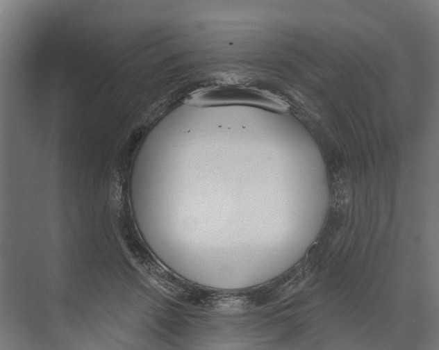 X0000073870456200609071703