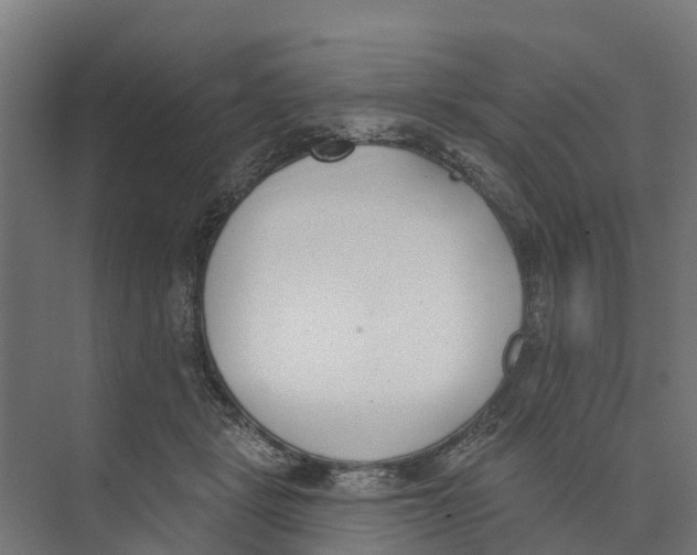 X0000073870461200609071703