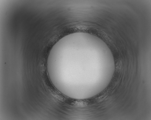 X0000073870464200609071703