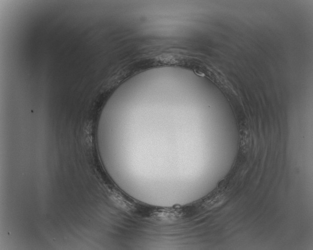 X0000073870466200609071703