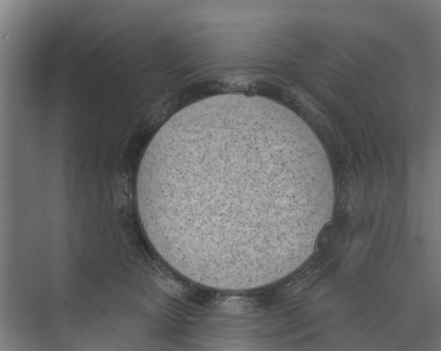 X0000073870467200609071703