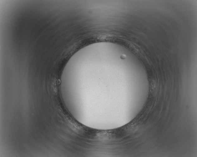 X0000073870470200609071703