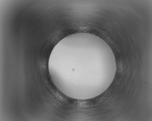 X0000073870472200609071703