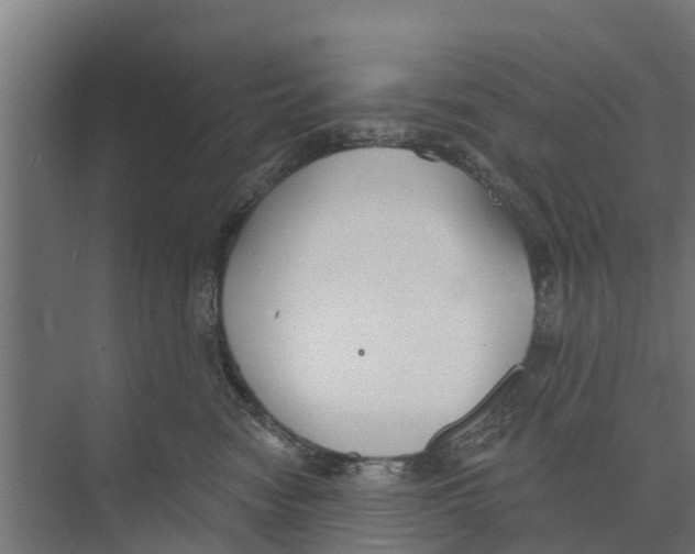 X0000073870474200609071704