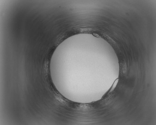 X0000073870475200609071704