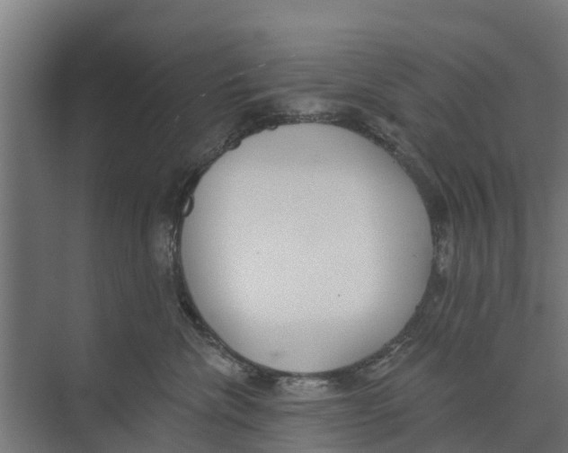 X0000073870476200609071704