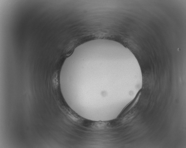 X0000073870479200609071704