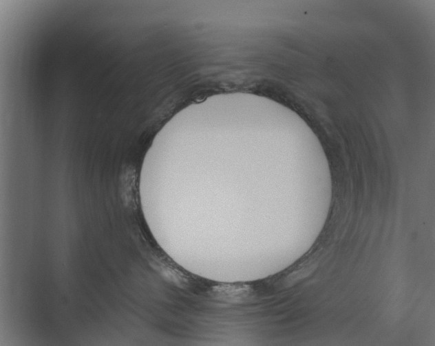 X0000073870480200609071704