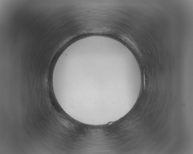 X0000073870483200609071703