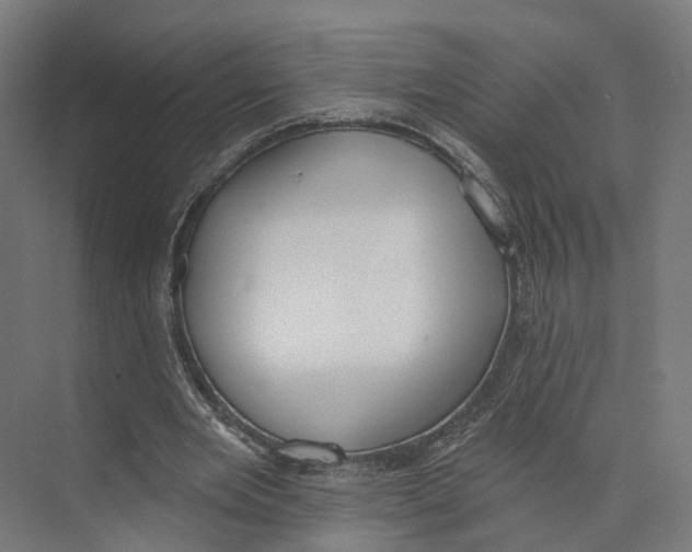 X0000073870485200609071703