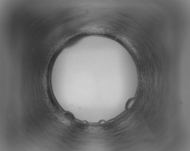 X0000073870487200609071703