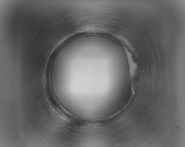 X0000073870488200609071703