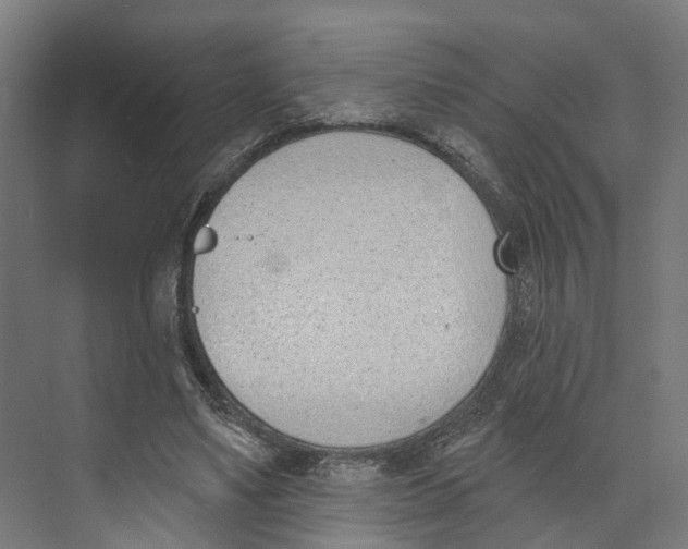 X0000073870491200609071703