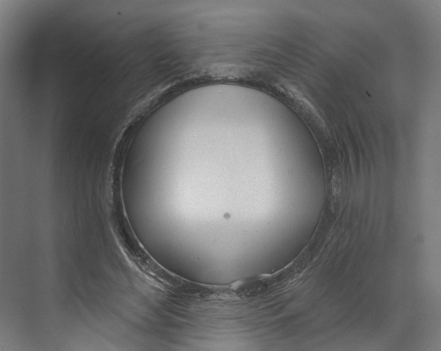 X0000073870492200609071703