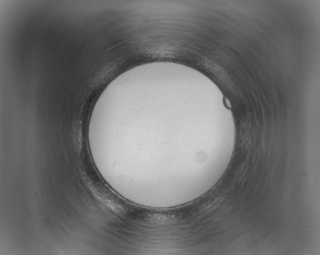 X0000073870494200609071703