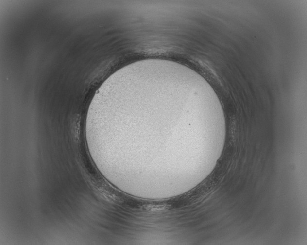 X0000073870495200609071703