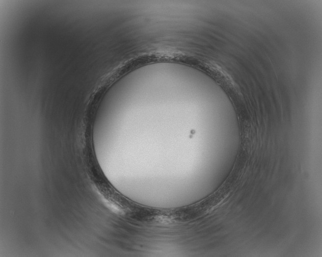 X0000073870496200609071703