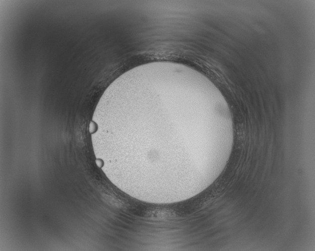 X0000073870503200609071702