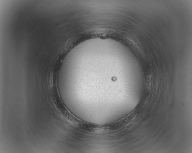 X0000073870504200609071702