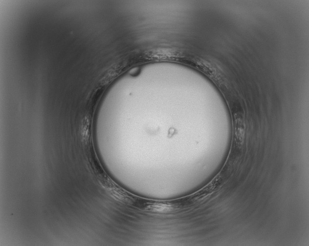 X0000073870507200609071702