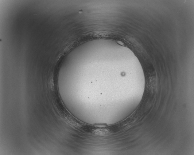 X0000073870508200609071702