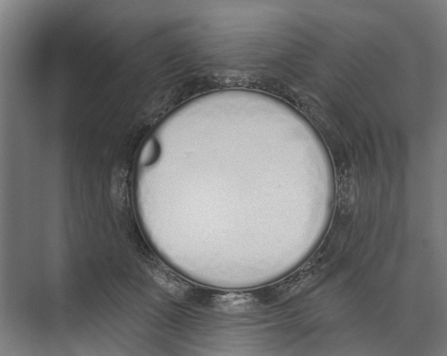 X0000073870511200609071702