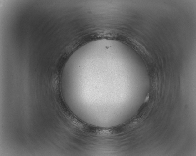 X0000073870513200609071702