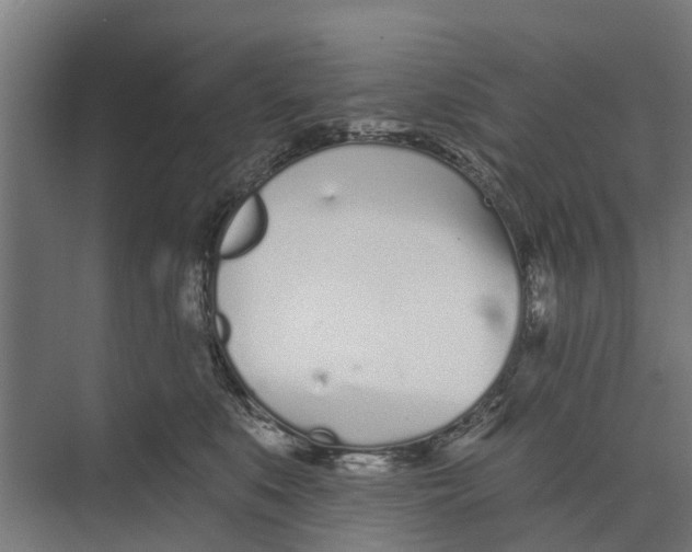 X0000073870519200609071702