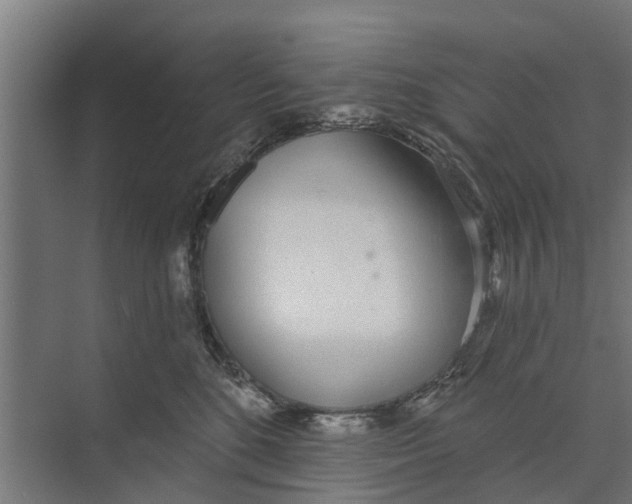 X0000073870520200609071702