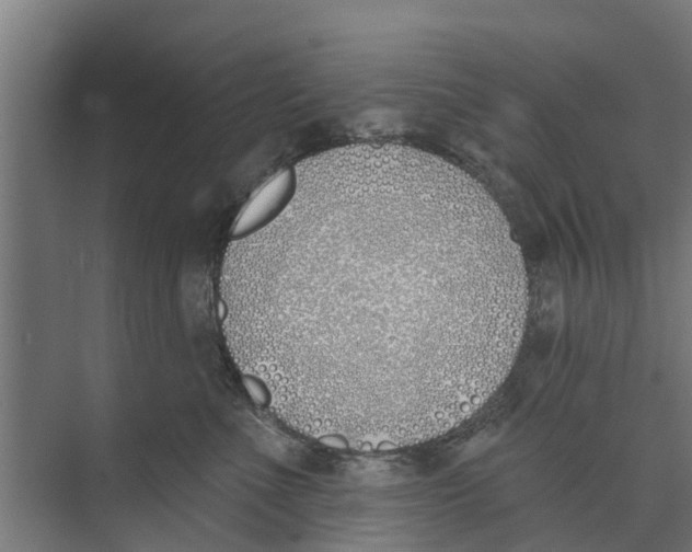 X0000073870523200609071702