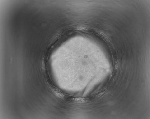 X0000073870524200609071702