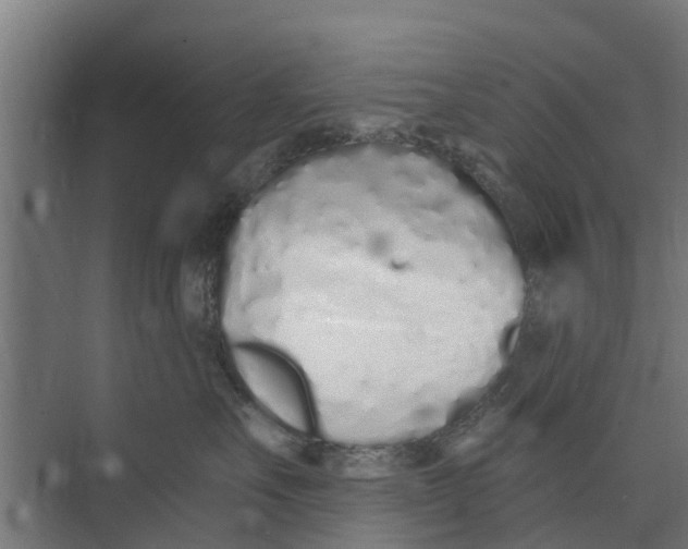 X0000073870527200609071702