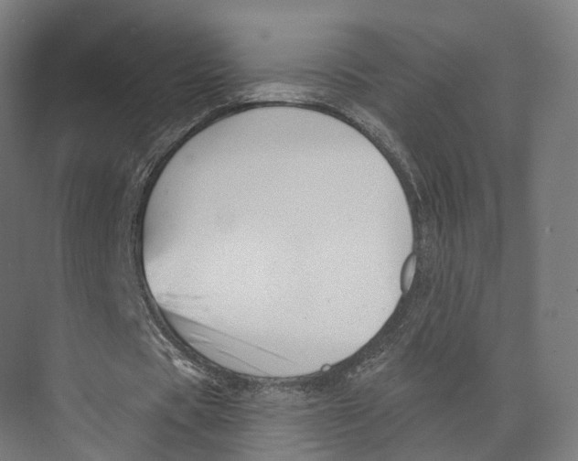 X0000073870529200609071701