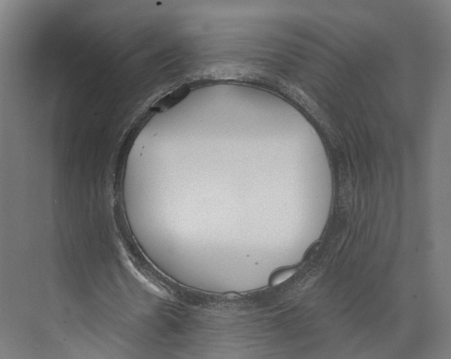 X0000073870530200609071701