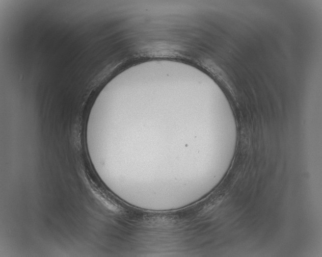 X0000073870533200609071701