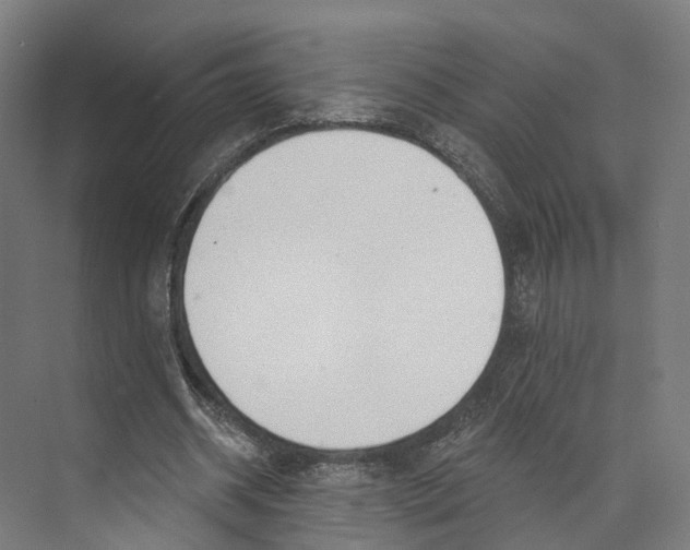 X0000073870534200609071701