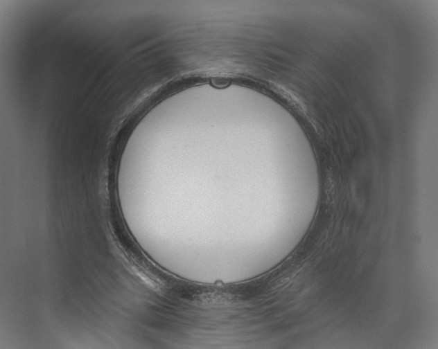 X0000073870535200609071701