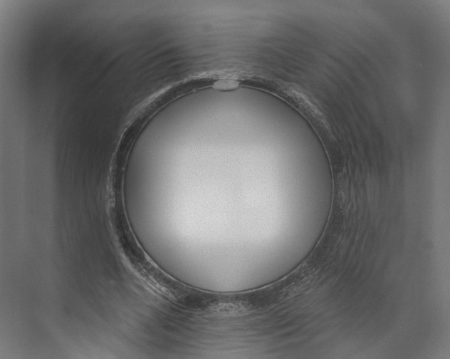 X0000073870536200609071701