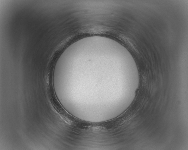 X0000073870539200609071701