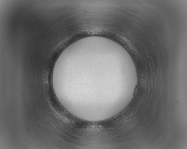 X0000073870543200609071701